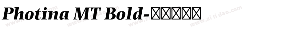 Photina MT Bold字体转换